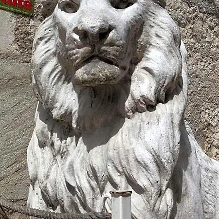 Du Lion D'or